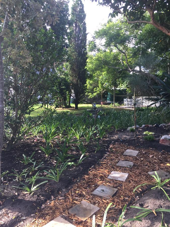 Acorn Cottage Hermanus Dış mekan fotoğraf