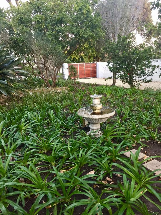 Acorn Cottage Hermanus Dış mekan fotoğraf