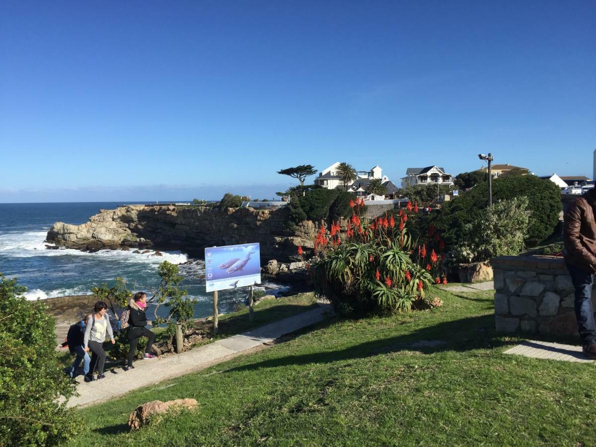 Acorn Cottage Hermanus Dış mekan fotoğraf